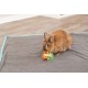 Anelli Gioco Trixie NEW  Anelli Gioco Trixie NEW